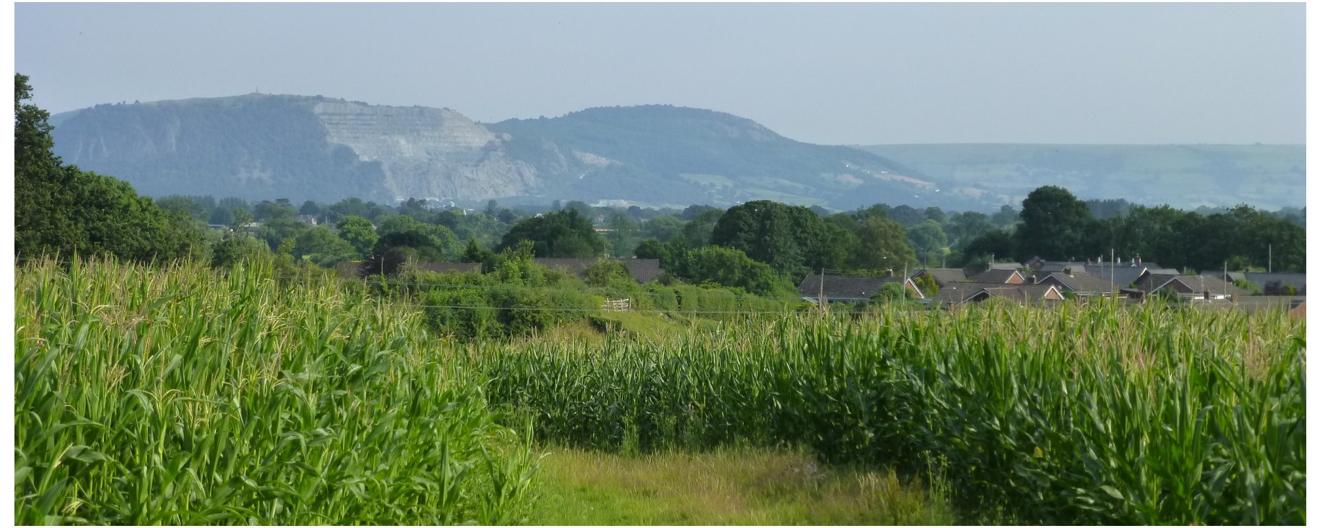 A view of the Breiddens from Carreghofa Community Trail